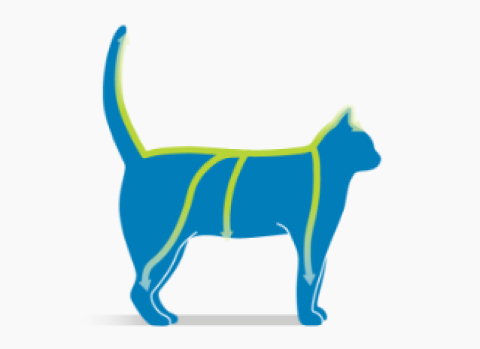 步驟四、保護啟動