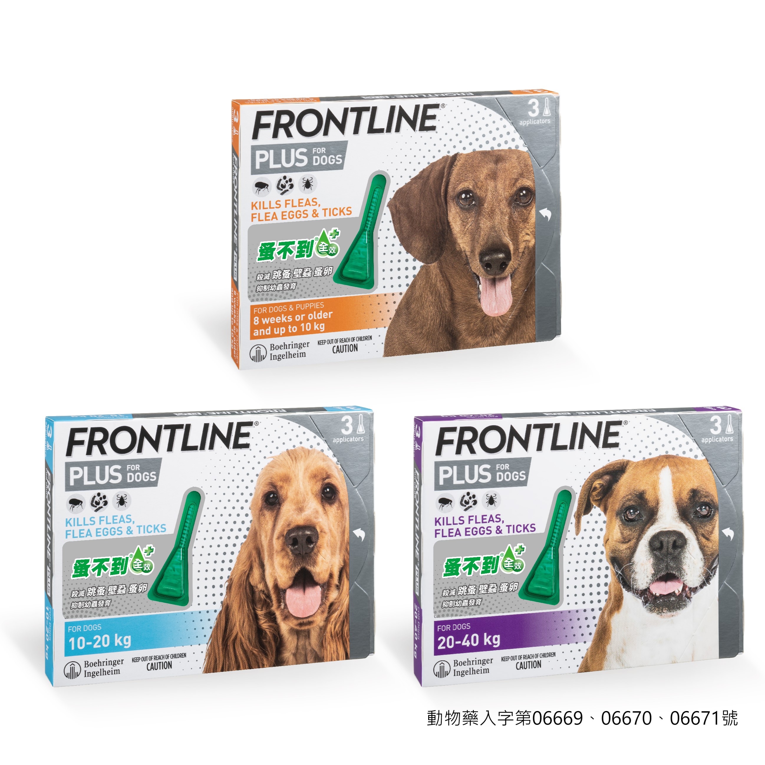 蚤不到全效犬用