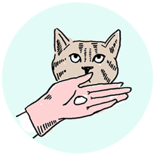 步驟三、臉部塗抹