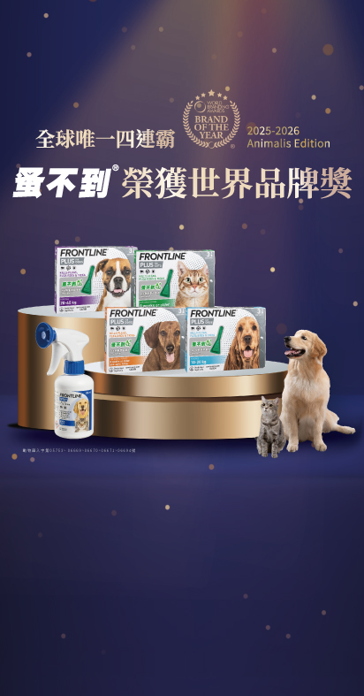 全球唯一四連霸．蚤不到再次榮獲世界品牌雙年獎