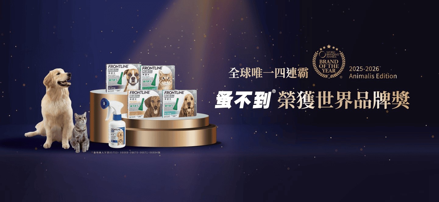 全球唯一四連霸．蚤不到再次榮獲世界品牌雙年獎(無對話版)