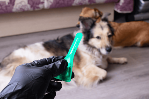 2025 SEO new setting-1_圖1