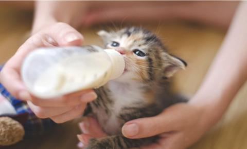 2025 SEO_news setting_photo2